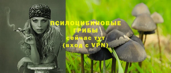 мдпв Бронницы